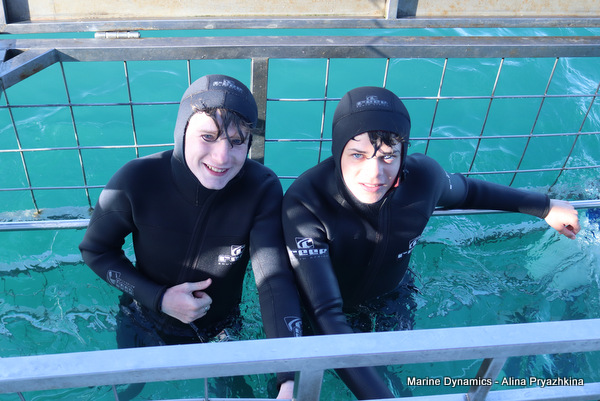 Shark cage diving, Gansbaai, South Africa